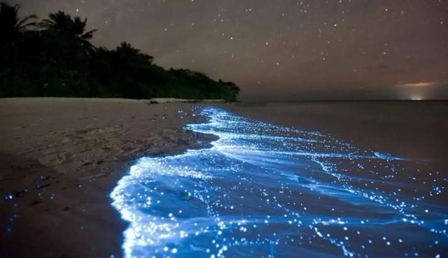 福建有个超美的岛屿平潭岛，拥有童话般的蓝色荧光海（平潭岛游玩线路）