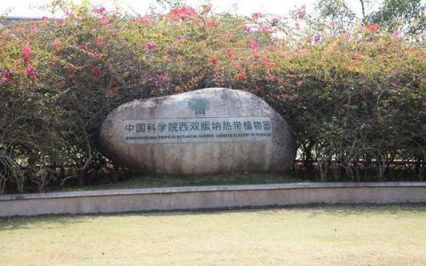 美丽的西双版纳，这里有一个非常适合亲子旅游的景点哦