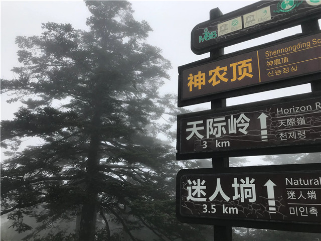 惠游湖北——2020神龙架3天2夜游路线