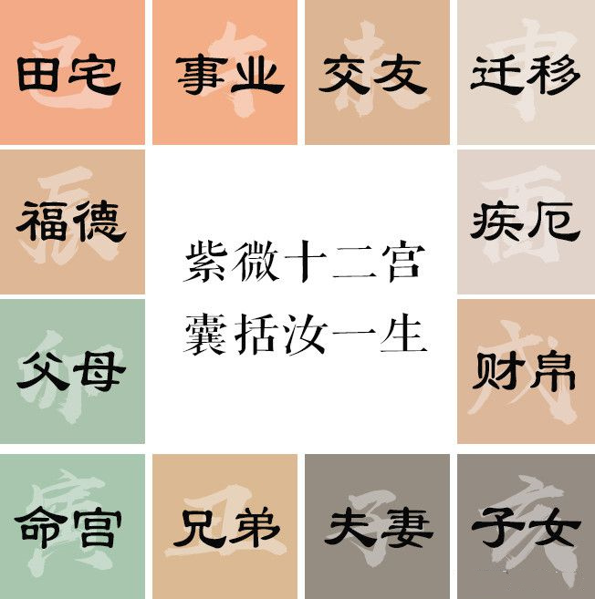何为紫微斗数十二宫?